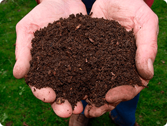 Adubo e Fertilizantes