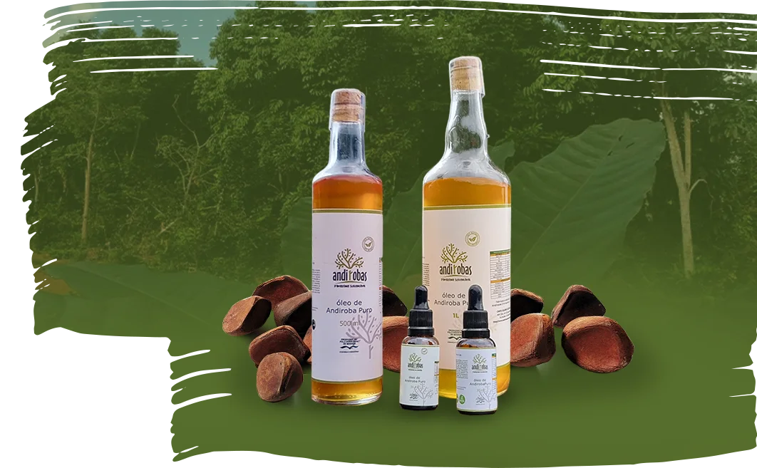 Conheça o Óleo da Andiroba, um tesouro ímpar.